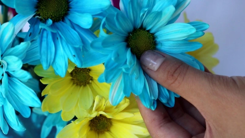 Beautiful Shadow Box with Flower Drying Art